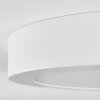 Omaro Plafoniera, Panel LED Bianco, 1-Luce, Cambia colore