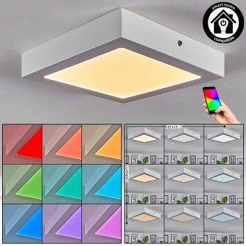 Omaro Plafoniera, Panel LED Bianco, 1-Luce, Cambia colore Omaro Plafoniera, Panel LED Bianco, 1-Luce, Cambia colore