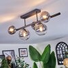 Chehalis Plafoniera, Lampada a sfera Chiaro, Grigio fumo, 5-Luci