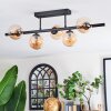 Chehalis Plafoniera, Lampada a sfera Ambrato, 5-Luci