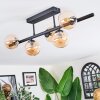 Chehalis Plafoniera, Lampada a sfera Ambrato, 5-Luci