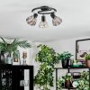 Saire Plafoniera, Faretto da soffitto Cromo, Nero, 3-Luci