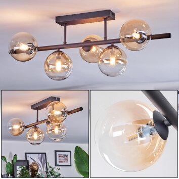 Chehalis Plafoniera, Lampada a sfera Ambrato, Chiaro, 5-Luci Chehalis Plafoniera, Lampada a sfera Ambrato, Chiaro, 5-Luci