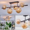 Chehalis Plafoniera, Lampada a sfera Ambrato, 5-Luci