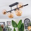 Chehalis Plafoniera, Lampada a sfera Ambrato, 5-Luci
