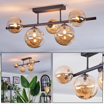 Chehalis Plafoniera, Lampada a sfera Ambrato, 5-Luci