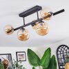 Chehalis Plafoniera, Lampada a sfera Ambrato, 5-Luci