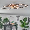 Brina Plafoniera LED Marrone, 1-Luce