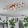 Brina Plafoniera LED Marrone, 1-Luce, Telecomando