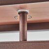Brina Plafoniera LED Marrone, 1-Luce, Telecomando
