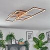 Brina Plafoniera LED Marrone, 1-Luce, Telecomando