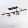 Chehalis Plafoniera, Lampada a sfera Ambrato, Chiaro, Grigio fumo, 5-Luci