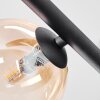 Chehalis Plafoniera, Lampada a sfera Ambrato, Chiaro, Grigio fumo, 5-Luci