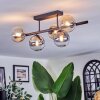 Chehalis Plafoniera, Lampada a sfera Ambrato, Chiaro, Grigio fumo, 5-Luci