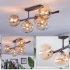 Chehalis Plafoniera, Lampada a sfera Ambrato, Chiaro, 5-Luci