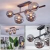 Chehalis Plafoniera, Lampada a sfera Grigio fumo, 5-Luci Chehalis Plafoniera, Lampada a sfera Grigio fumo, 5-Luci