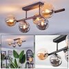Chehalis Plafoniera, Lampada a sfera Ambrato, Grigio fumo, 5-Luci
