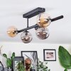 Chehalis Plafoniera, Lampada a sfera Ambrato, Grigio fumo, 5-Luci