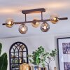 Chehalis Plafoniera, Lampada a sfera Ambrato, Grigio fumo, 5-Luci