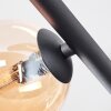 Chehalis Plafoniera, Lampada a sfera Ambrato, Grigio fumo, 5-Luci