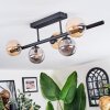 Chehalis Plafoniera, Lampada a sfera Ambrato, Grigio fumo, 5-Luci
