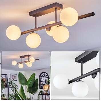 Chehalis Plafoniera, Lampada a sfera Bianco, 5-Luci