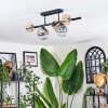 Chehalis Plafoniera, Lampada a sfera Nero, 5-Luci