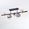 Chehalis Plafoniera, Lampada a sfera Nero, 5-Luci