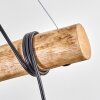 Ripoll Lampadario a sospensione, Lampada a sfera, Lampada a sospensione Écru, Nero, 5-Luci