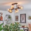 Koyoto Plafoniera, Lampada a sfera Ambrato, Chiaro, Grigio fumo, 6-Luci Koyoto Plafoniera, Lampada a sfera Ambrato, Chiaro, Grigio fumo, 6-Luci