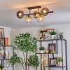 Koyoto Plafoniera, Lampada a sfera Ambrato, Chiaro, Grigio fumo, 5-Luci