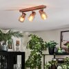Nelar Plafoniera, Faretto da soffitto Bronzo, Cromo, 3-Luci
