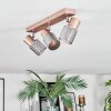 Nelar Plafoniera, Faretto da soffitto Bronzo, Cromo, 3-Luci