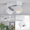 Narel Plafoniera, Faretto da soffitto LED Bianco, 2-Luci