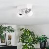 Narel Plafoniera, Faretto da soffitto LED Bianco, 2-Luci
