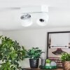 Narel Plafoniera, Faretto da soffitto LED Bianco, 2-Luci