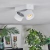 Narel Plafoniera, Faretto da soffitto LED Bianco, 2-Luci