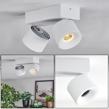 Narel Plafoniera, Faretto da soffitto LED Bianco, 2-Luci
