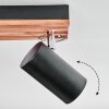 Orlan Plafoniera, Faretto da soffitto Cromo, Écru, Nero, 3-Luci