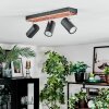 Orlan Plafoniera, Faretto da soffitto Cromo, Écru, Nero, 3-Luci