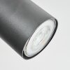 Orlan Plafoniera, Faretto da soffitto Cromo, Écru, Nero, 4-Luci
