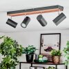Orlan Plafoniera, Faretto da soffitto Cromo, Écru, Nero, 4-Luci
