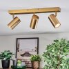 Javel Plafoniera, Faretto da soffitto Oro, 3-Luci