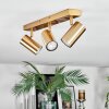 Javel Plafoniera, Faretto da soffitto Oro, 3-Luci