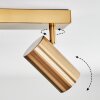 Javel Plafoniera, Faretto da soffitto Oro, 3-Luci