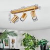 Javel Plafoniera, Faretto da soffitto Oro, 3-Luci