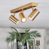 Javel Plafoniera, Faretto da soffitto Oro, 3-Luci