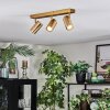 Javel Plafoniera, Faretto da soffitto Oro, 3-Luci