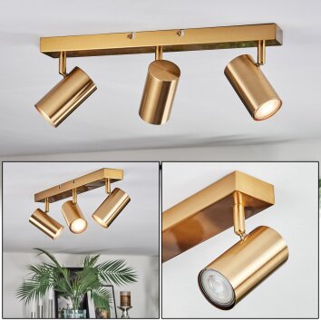 Javel Plafoniera, Faretto da soffitto Oro, 3-Luci
