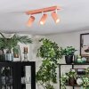 Javel Plafoniera, Faretto da soffitto Fucsia, Bianco, 3-Luci